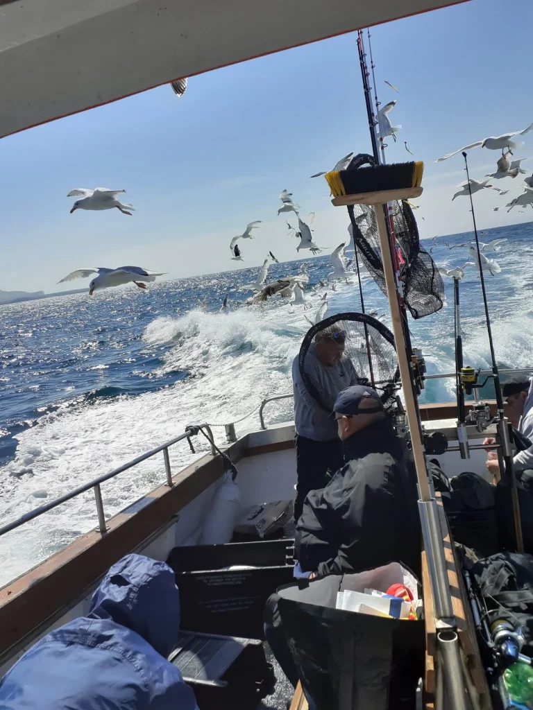 robby-mccullough-DtzJFYnFPJ8-unsplash Gulls flying over the wake of the boat